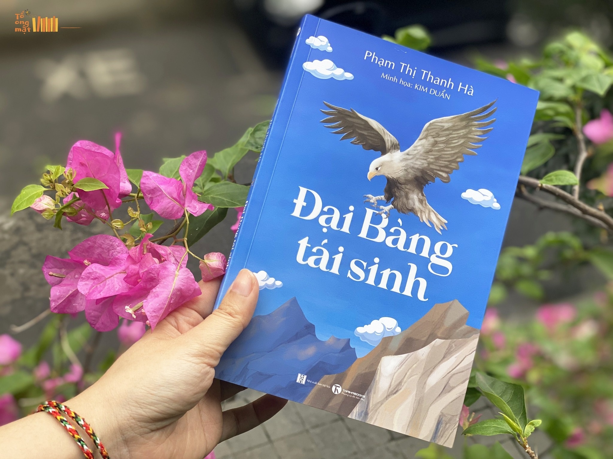 Dai bang tai sinh anh 2