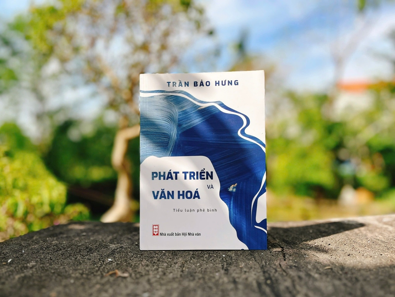 'Phat trien va van hoa' duoi goc nhin bao chi hinh anh