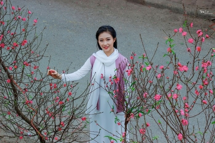 Thu choi hoa Tet da ngam vao mau nguoi Ha Noi hinh anh