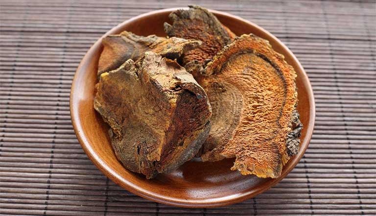 'Tuong quan' trong cac loai duoc lieu bo gan hinh anh