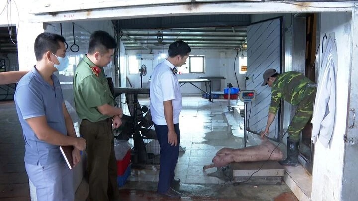 tuon lon benh,  ra thi truong anh 1