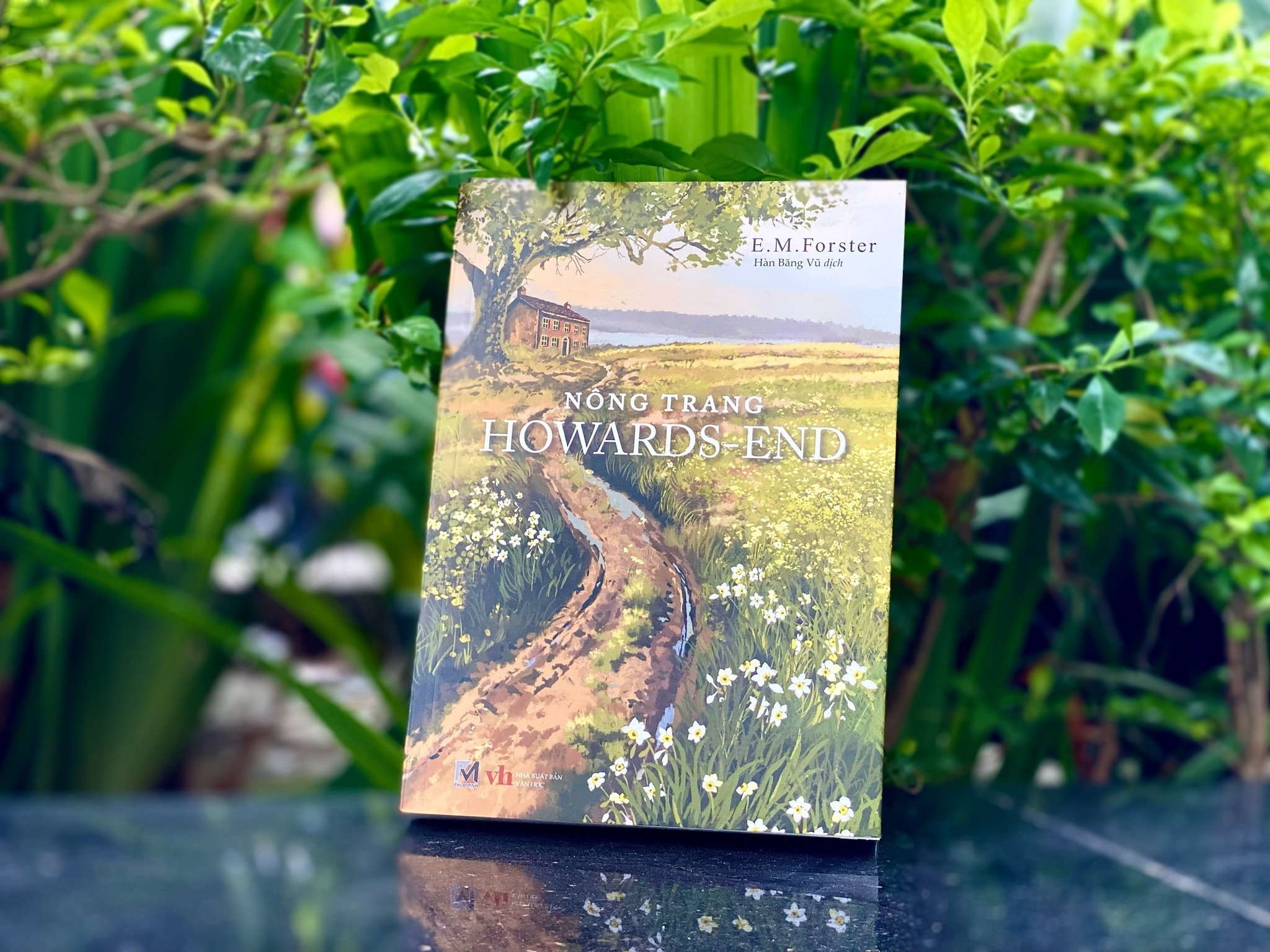 'Nhung nguoi khon kho' kieu moi trong tieu thuyet cua E.M. Forster hinh anh