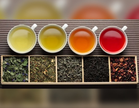 Cuoc doi ngoi cua cac loai tra o Anh hinh anh