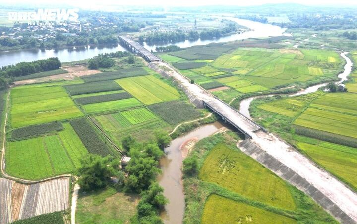 Da Nang anh 1