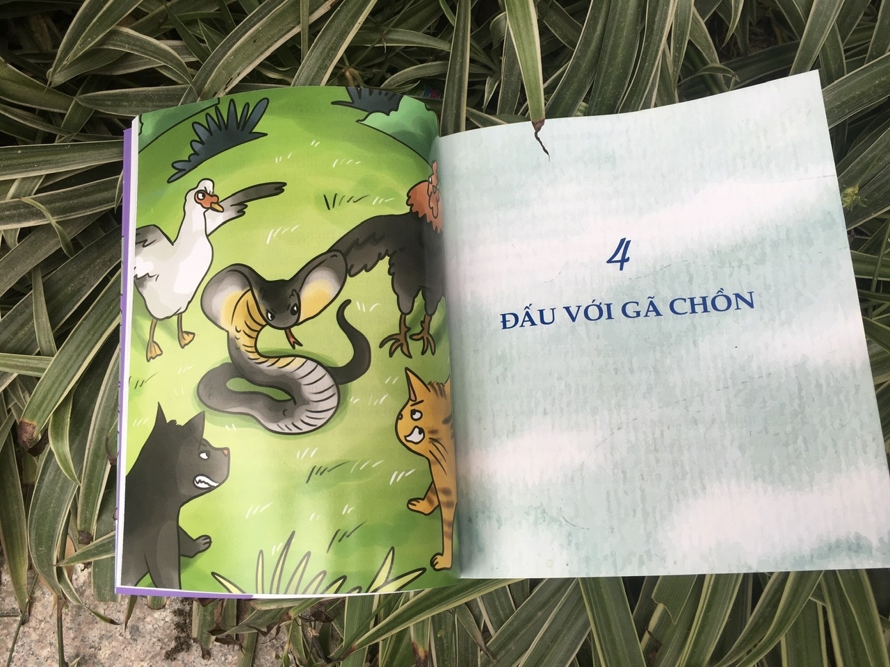 Tinh ban anh 2