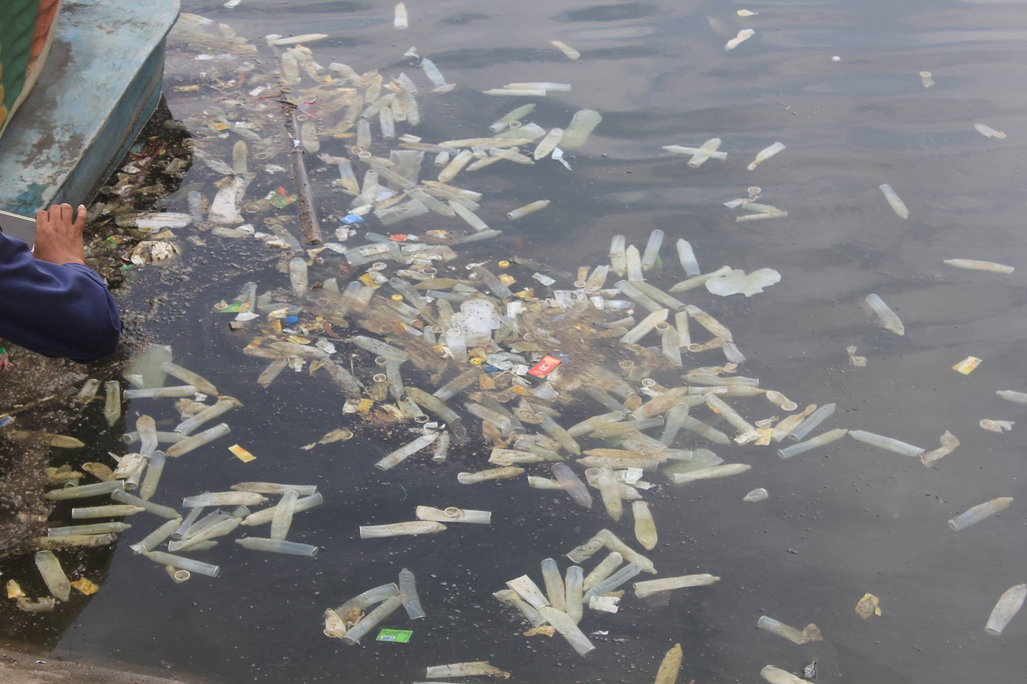 bao cao su nổi trắng hồ Linh Đàm ảnh 1 bao cao su noi trang ho Linh Dam anh 1