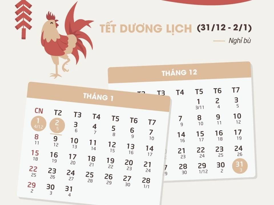 18 ngay nghi trong cac dip le, Tet nam 2017 hinh anh