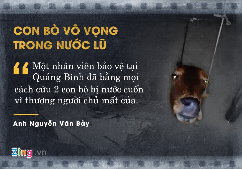 những câu chuyện cảm động nhất năm 2016 ảnh 7 nhung cau chuyen cam dong nhat nam 2016 anh 7