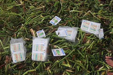 Bat me ke dau doc con cua chong bang thuoc diet co hinh anh