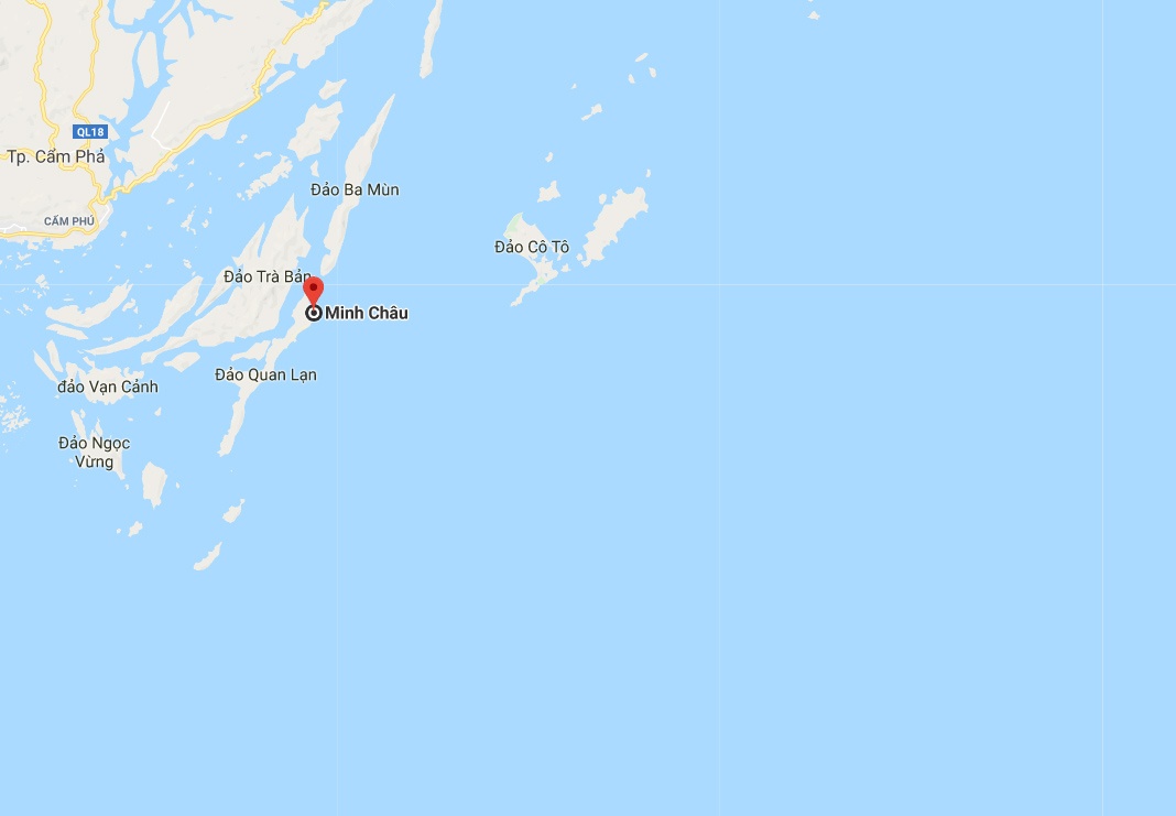 Thả rùa vườn quốc gia Bái Tử Long ảnh 4 Tha rua vuon quoc gia Bai Tu Long anh 4