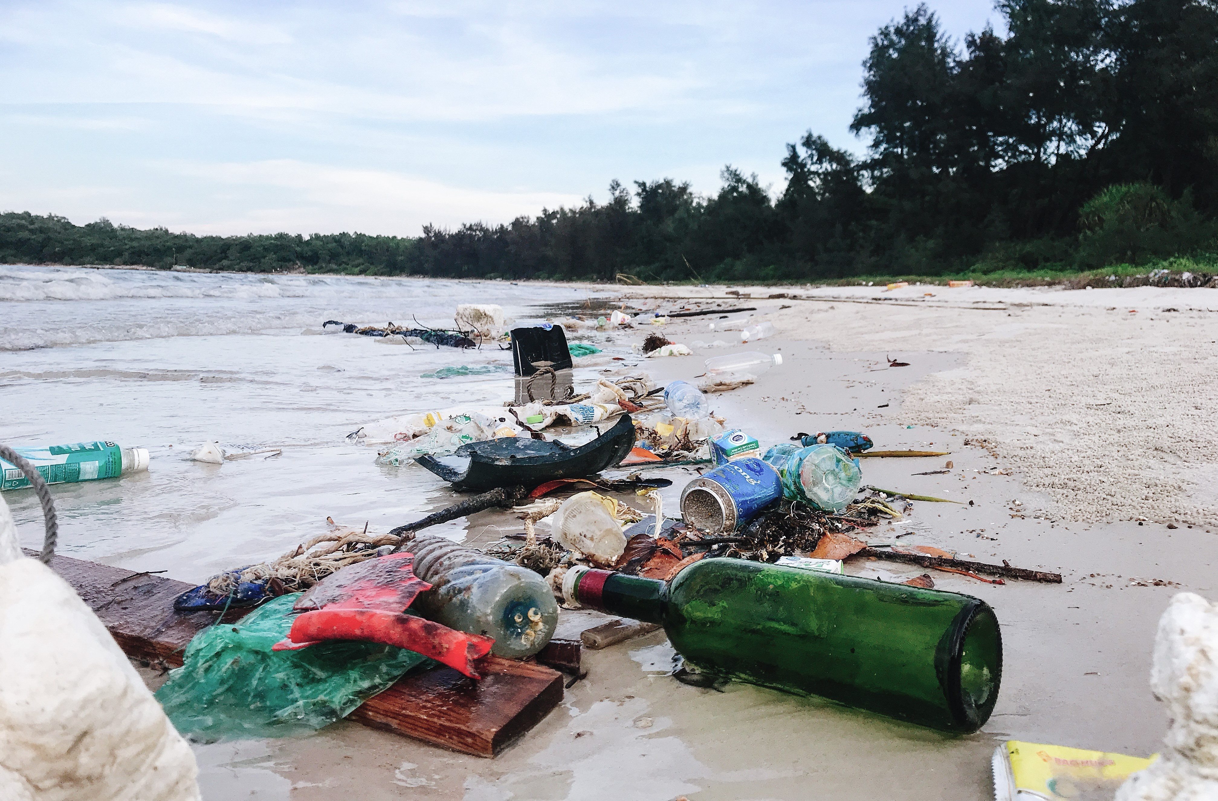 Chuong trinh bao ton rua  bien 2018 anh 2