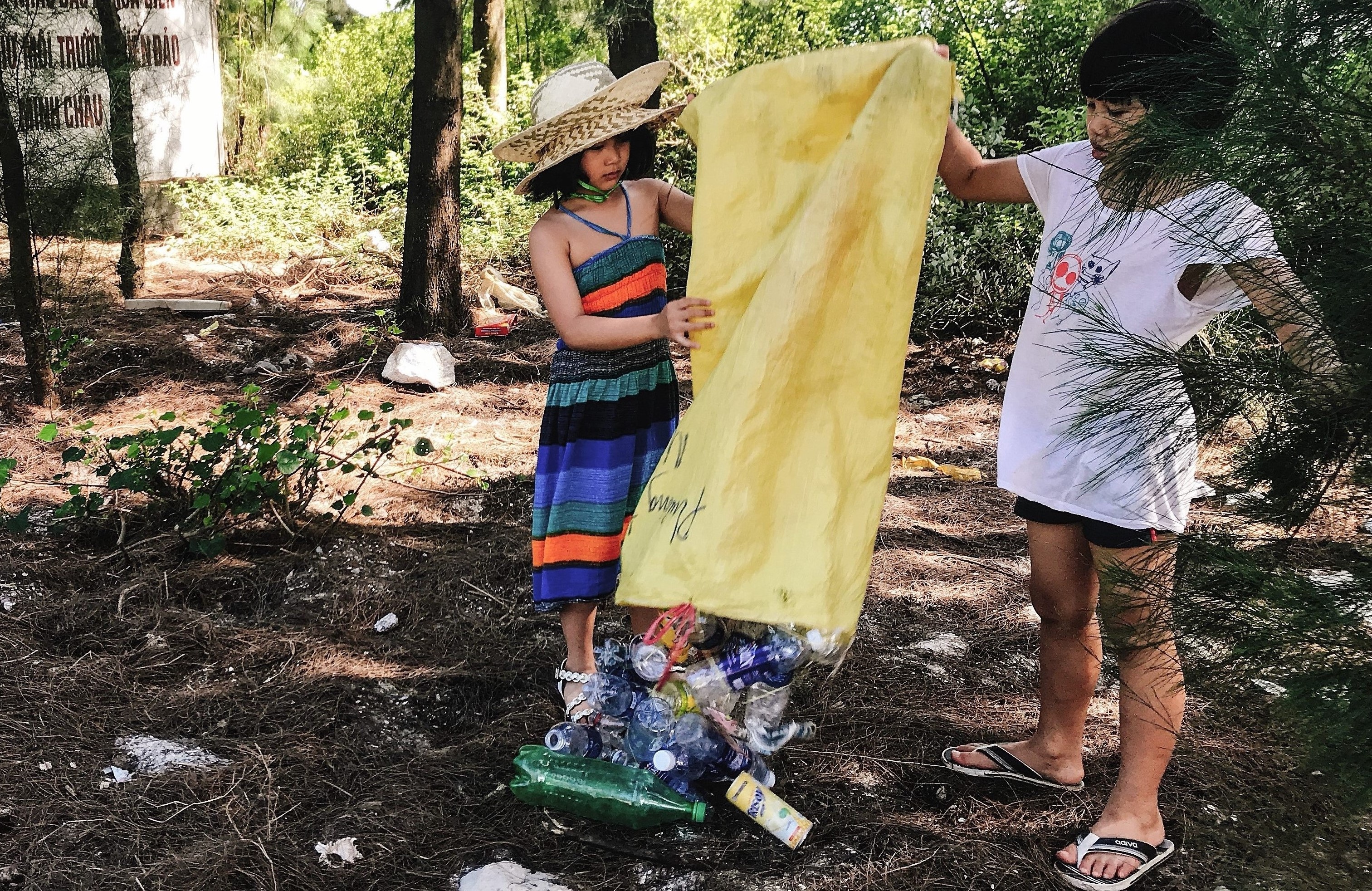 Chuong trinh bao ton rua  bien 2018 anh 3