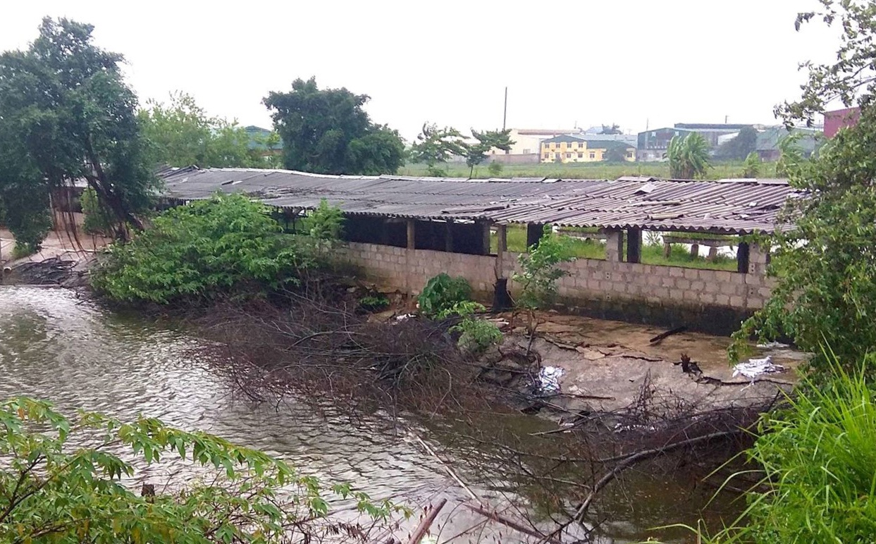 Giam giu nguoi trai phep anh 1