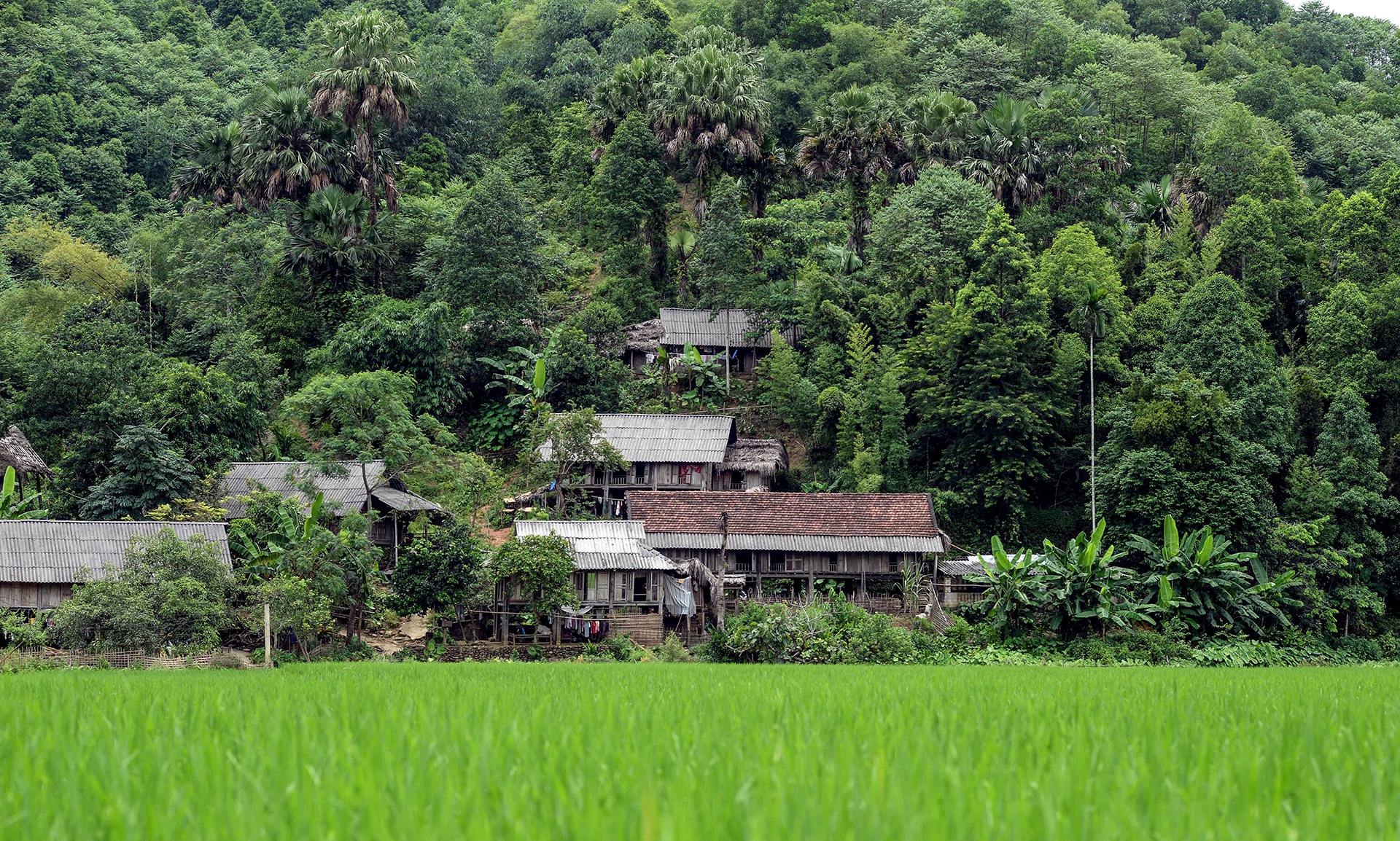 Kim Thuong,  Phu Tho,  HIV,  Tan Son,  AIDS,  nu cuoi anh 1