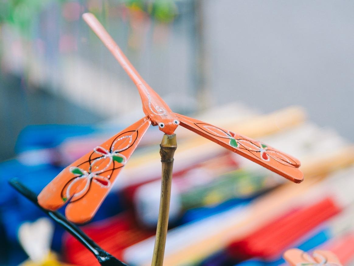 Noi san sinh hang trieu chu chuon chuon tre luu giu ky uc tuoi tho hinh anh