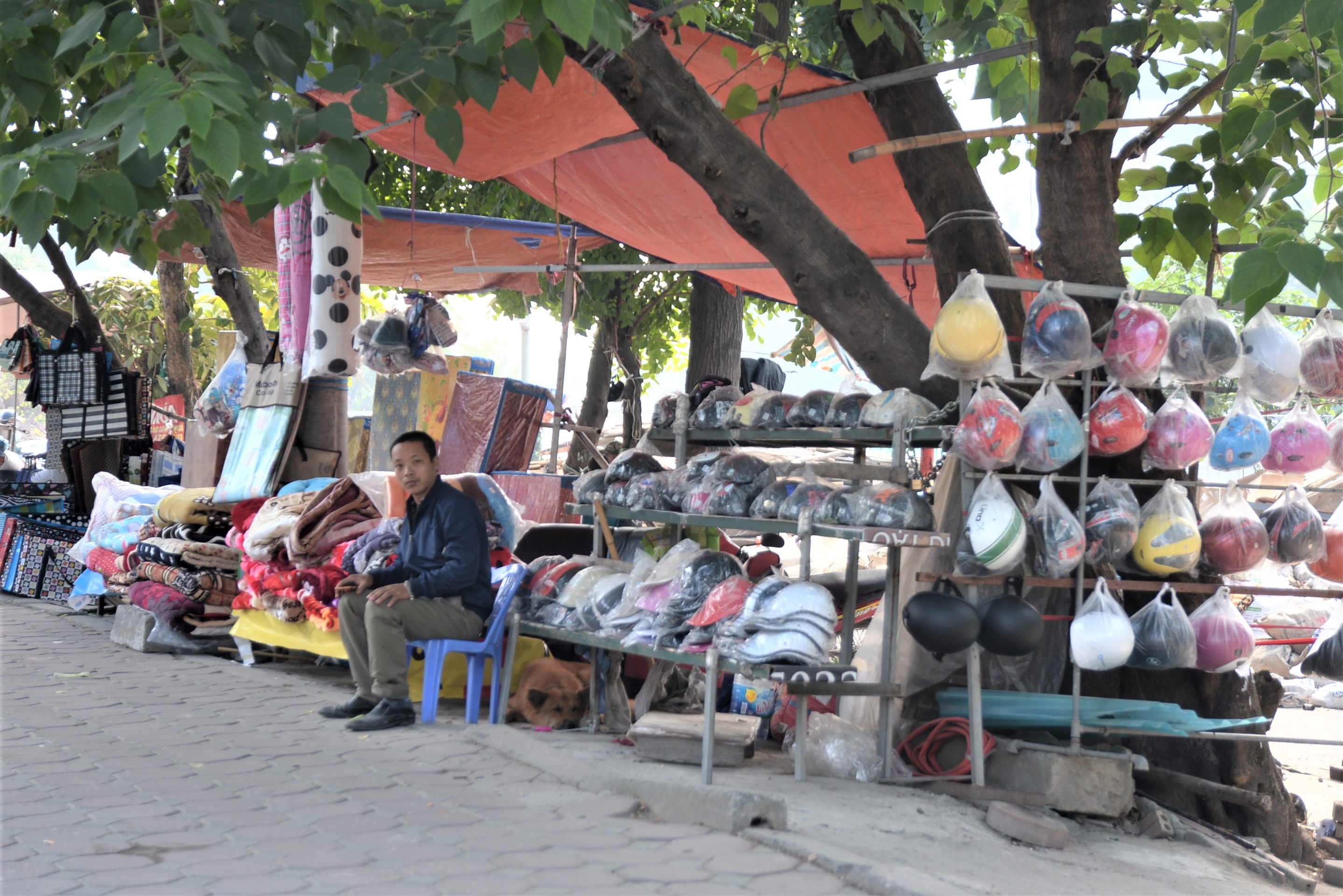 Pha cho tam Nga Tu So anh 1