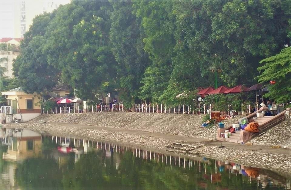 Pitbull tấn công người ảnh 1 Pitbull tan cong nguoi anh 1