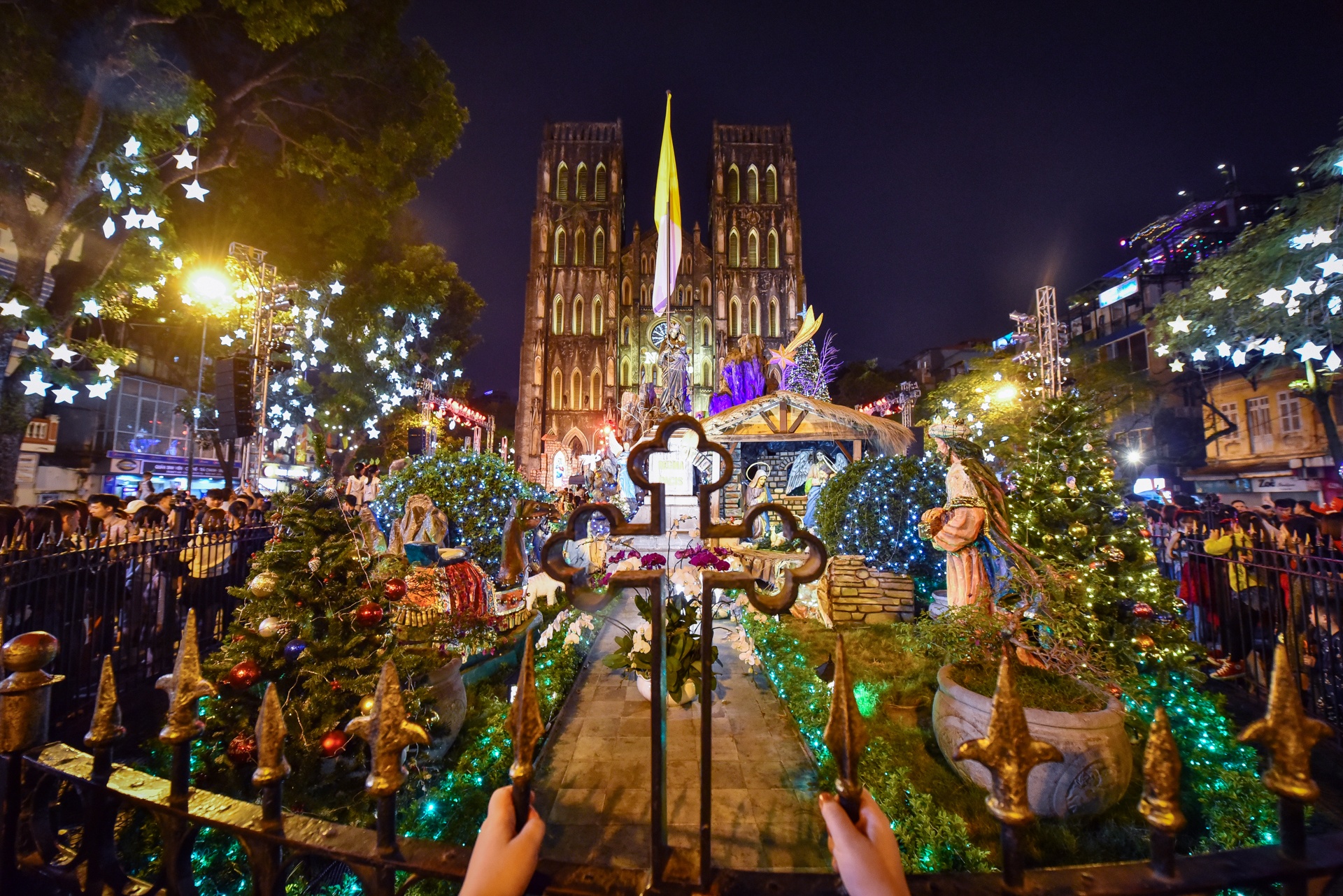 Giang sinh Hang Ma anh 14