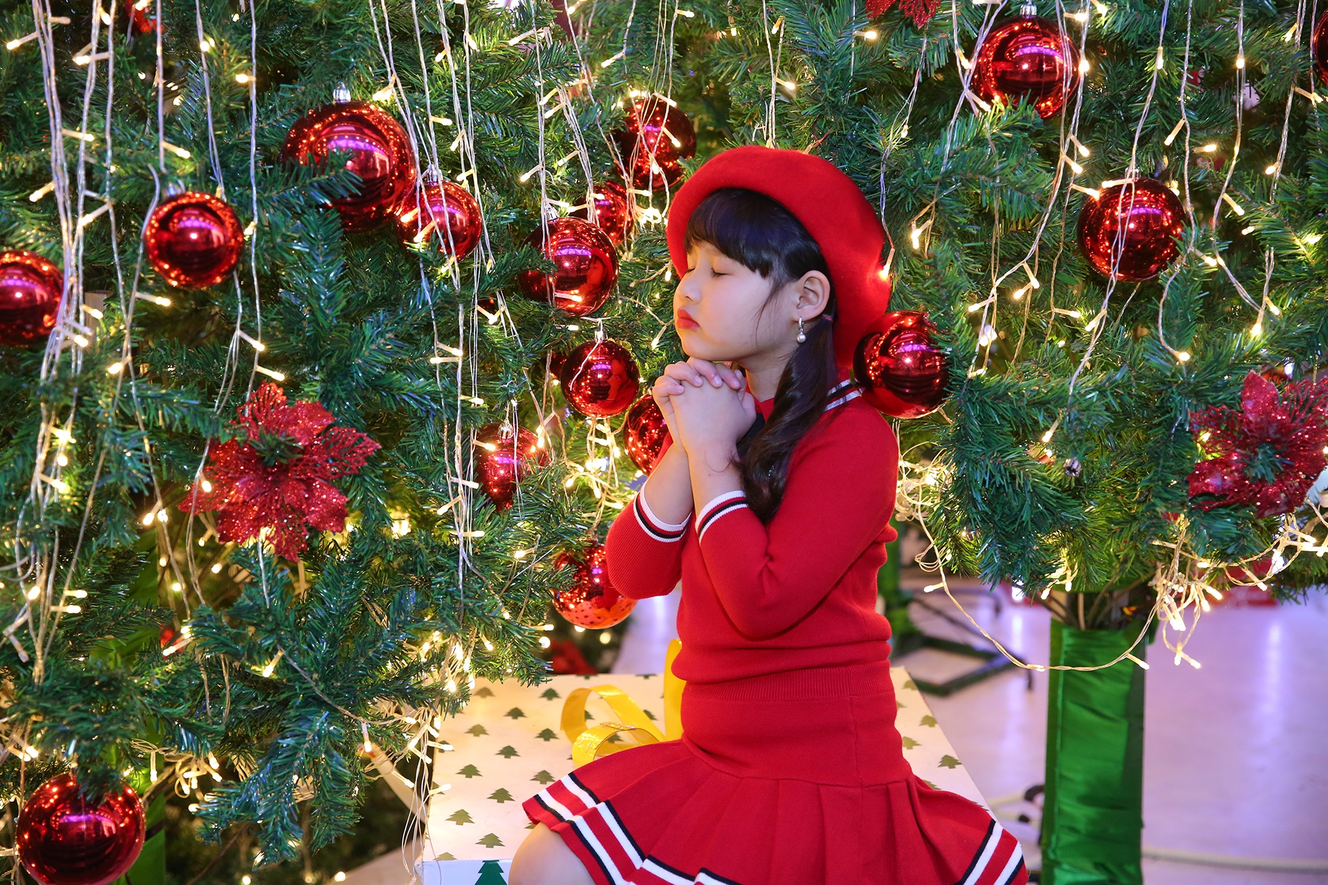 Giang sinh Hang Ma anh 11