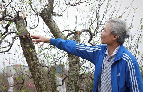 Cong an tinh Bac Ninh chi dao dieu tra vu chat pha dao truoc Tet hinh anh
