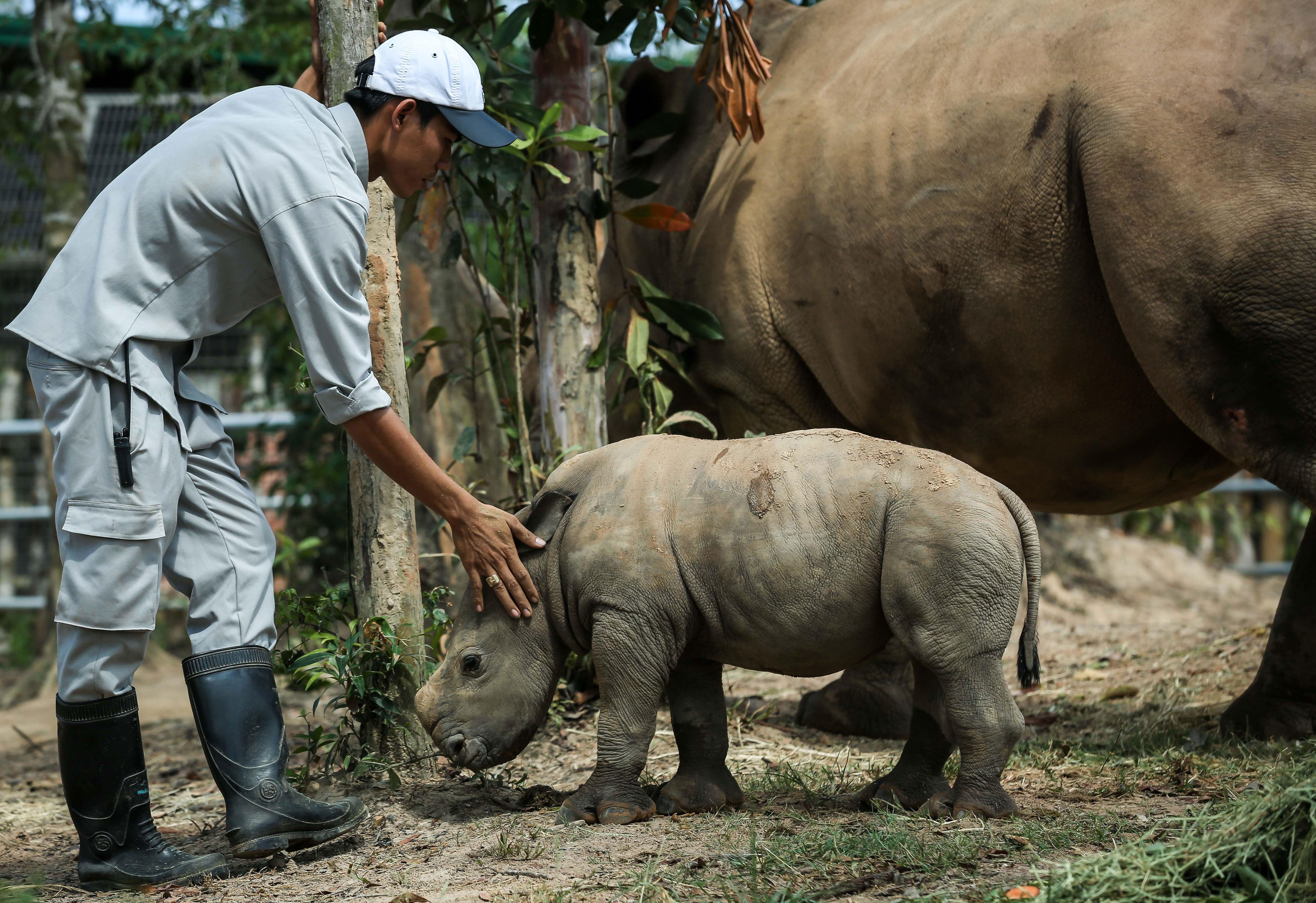 Vinpearl Safari anh 5