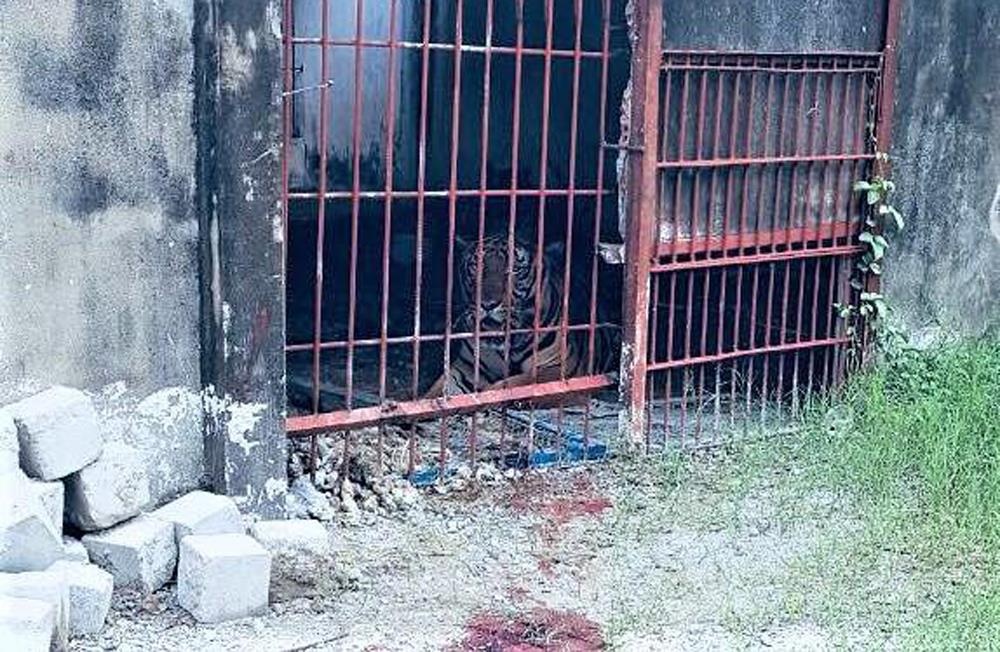 Ho can nguoi Binh Duong anh 1