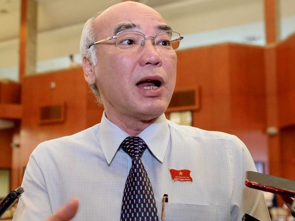 Dai bieu de nghi giam sat chat, cong khai thong tin vu Thu Thiem hinh anh