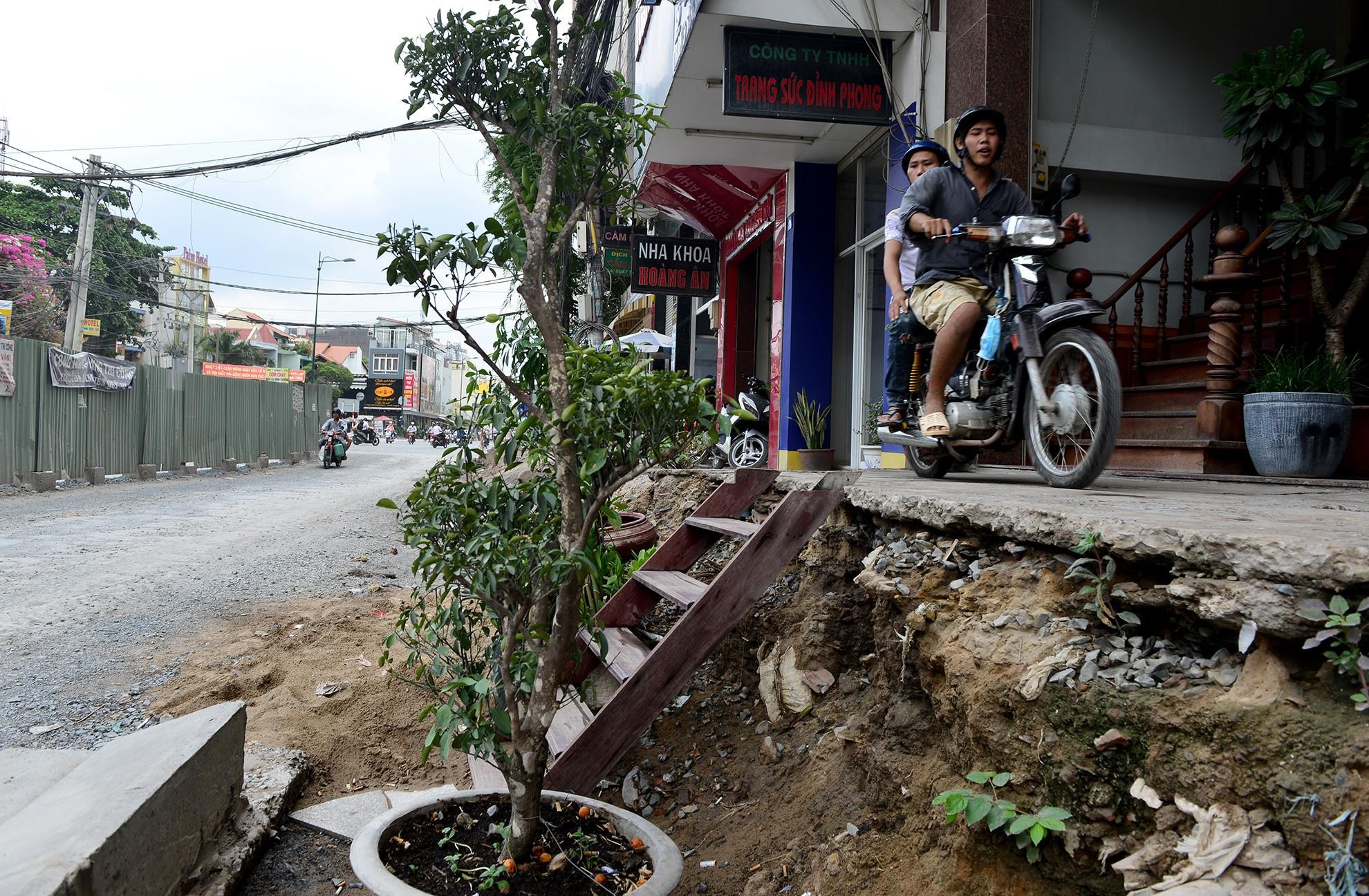 Cay xanh TP.HCM anh 2