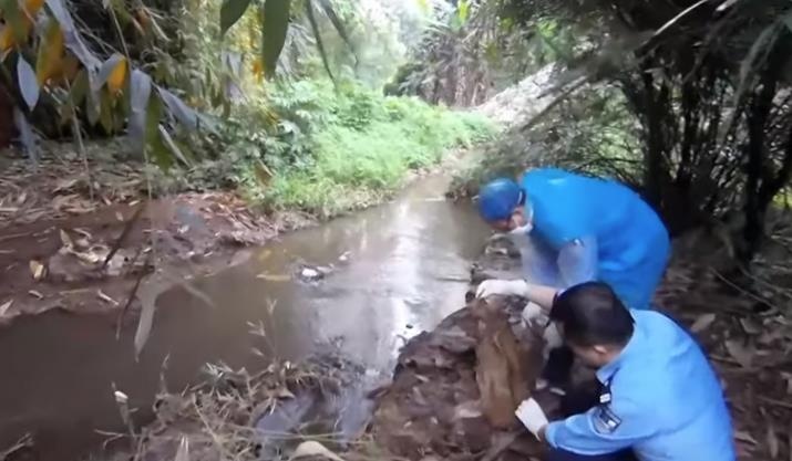 An mang nguoi dan ba duoi muong nuoc va tieng keu cuu luc nua dem hinh anh
