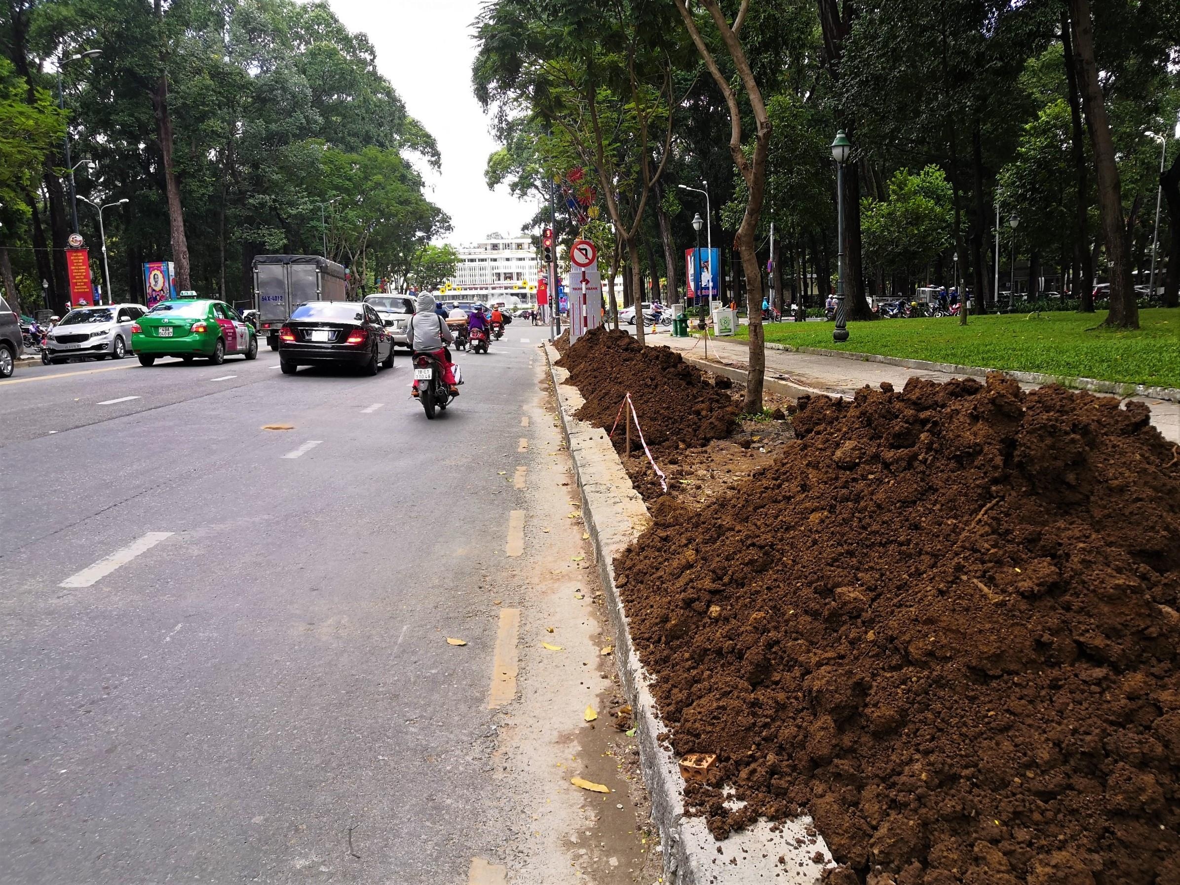 Trồng cây công viên 30/4 ảnh 1 Trong cay cong vien 30/4 anh 1