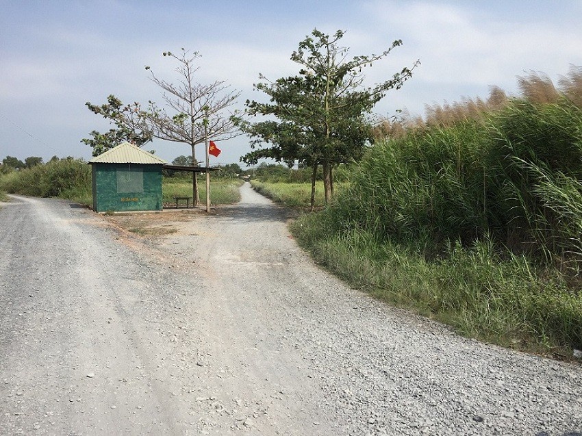 Sai pham dat dai Binh Chanh anh 1