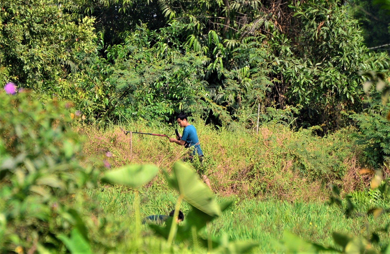 Cong an ban Tuan Khi anh 8