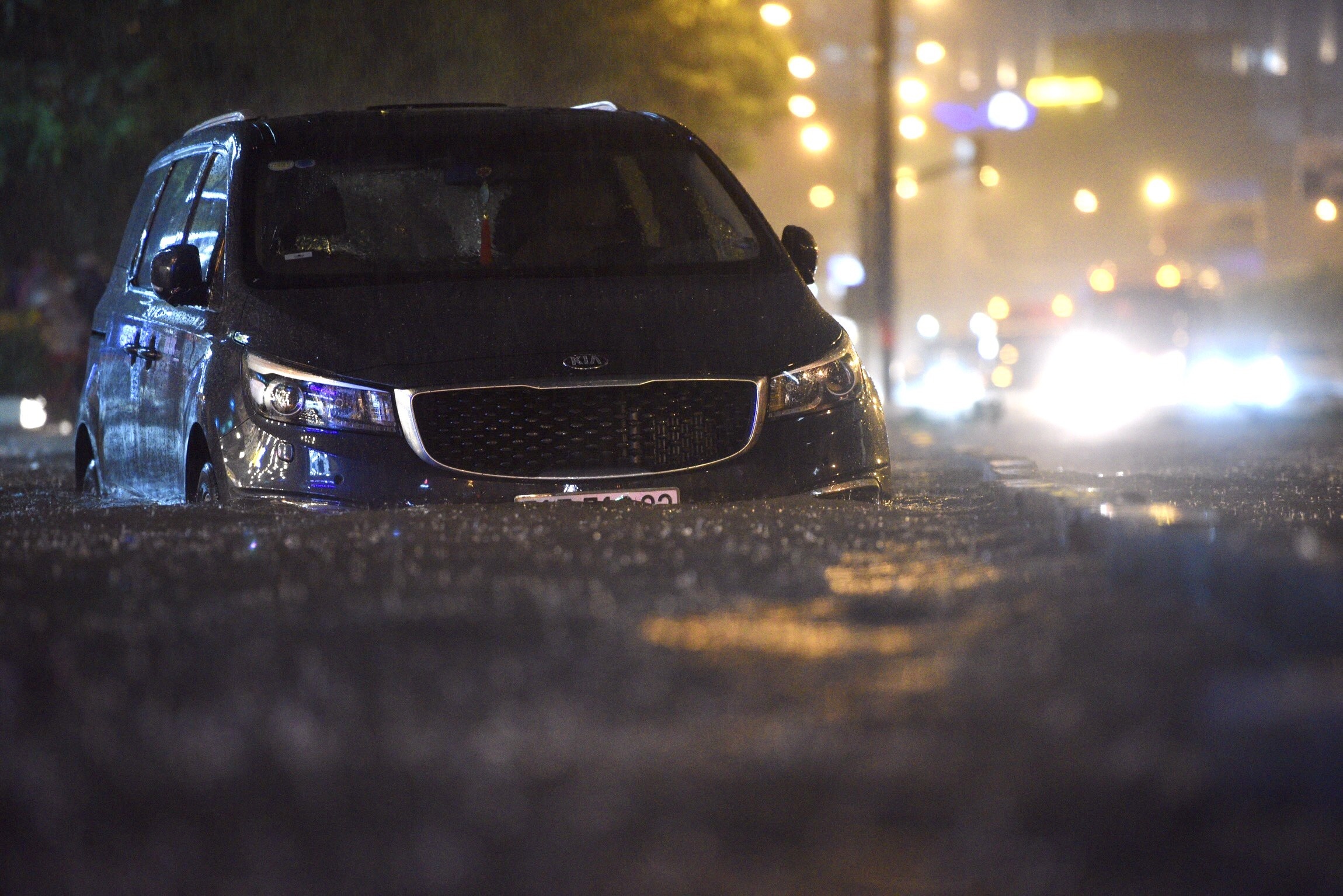 Mua lon tai HCM anh 1