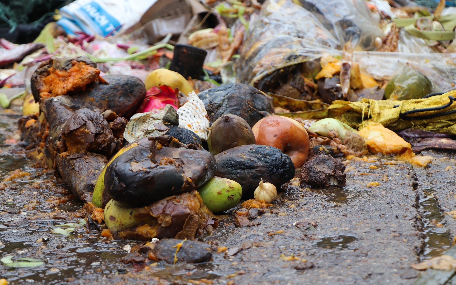 Lu ngap Tam Ky anh 3