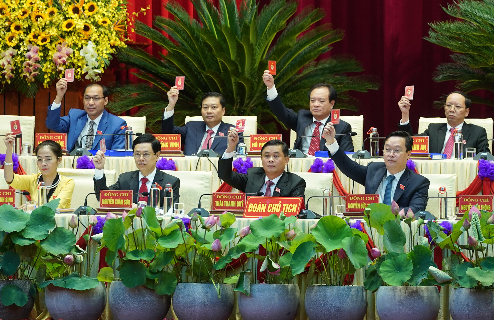 Dai hoi Dang Nghe An anh 8