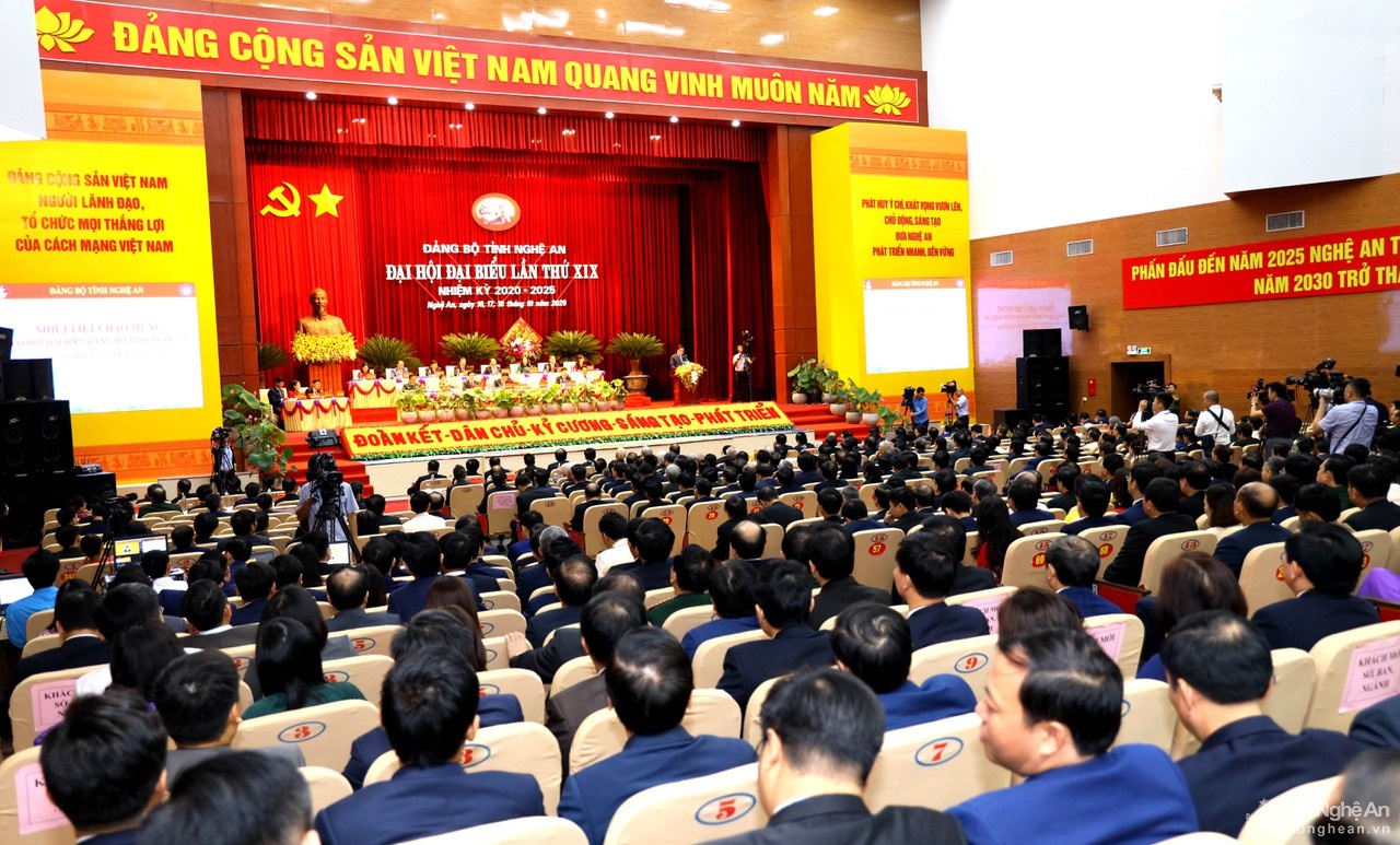 Dai hoi Dang Nghe An anh 7