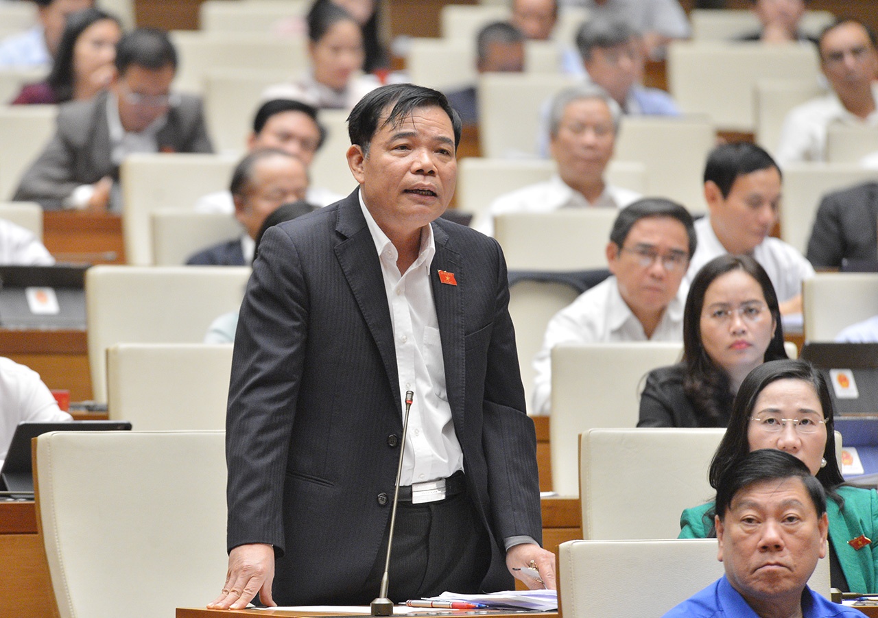 Bao ve rung tai Viet Nam anh 1