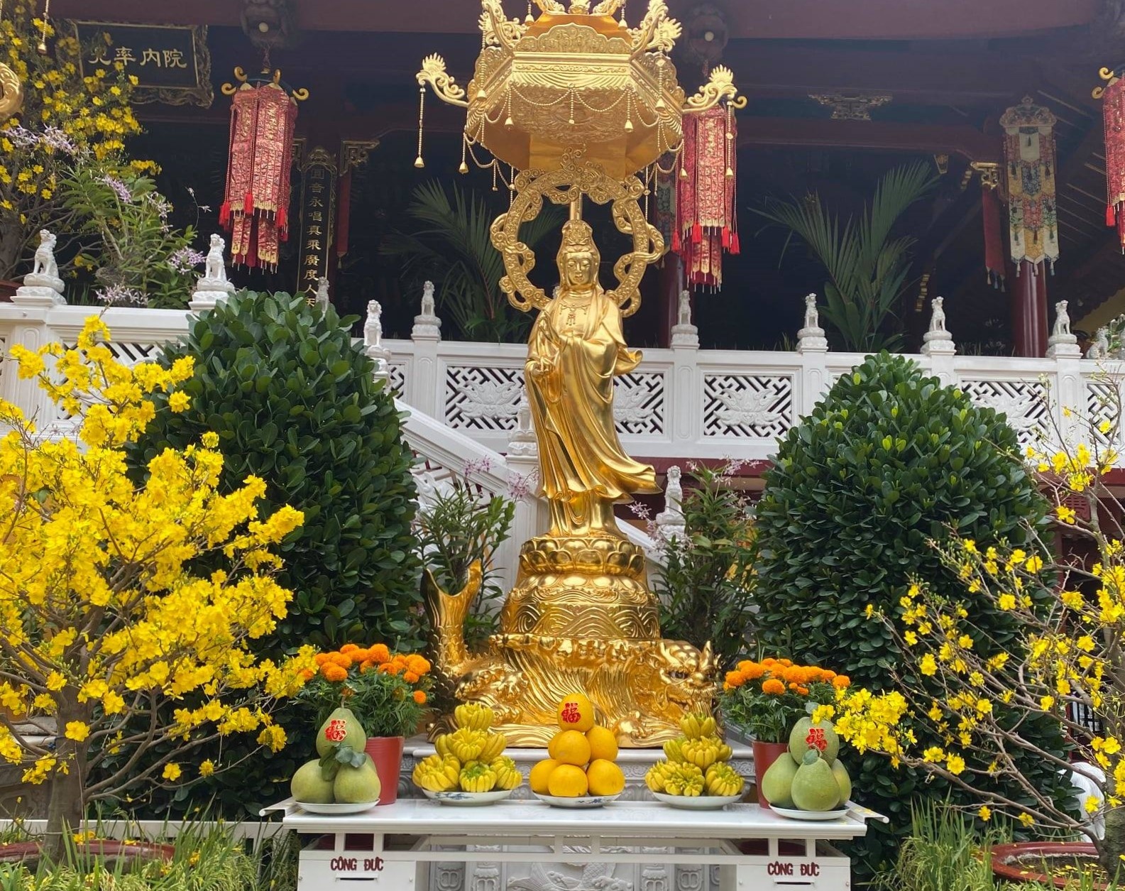 Tam dung hoat dong, khu khuan toan bo chua Vien Giac hinh anh