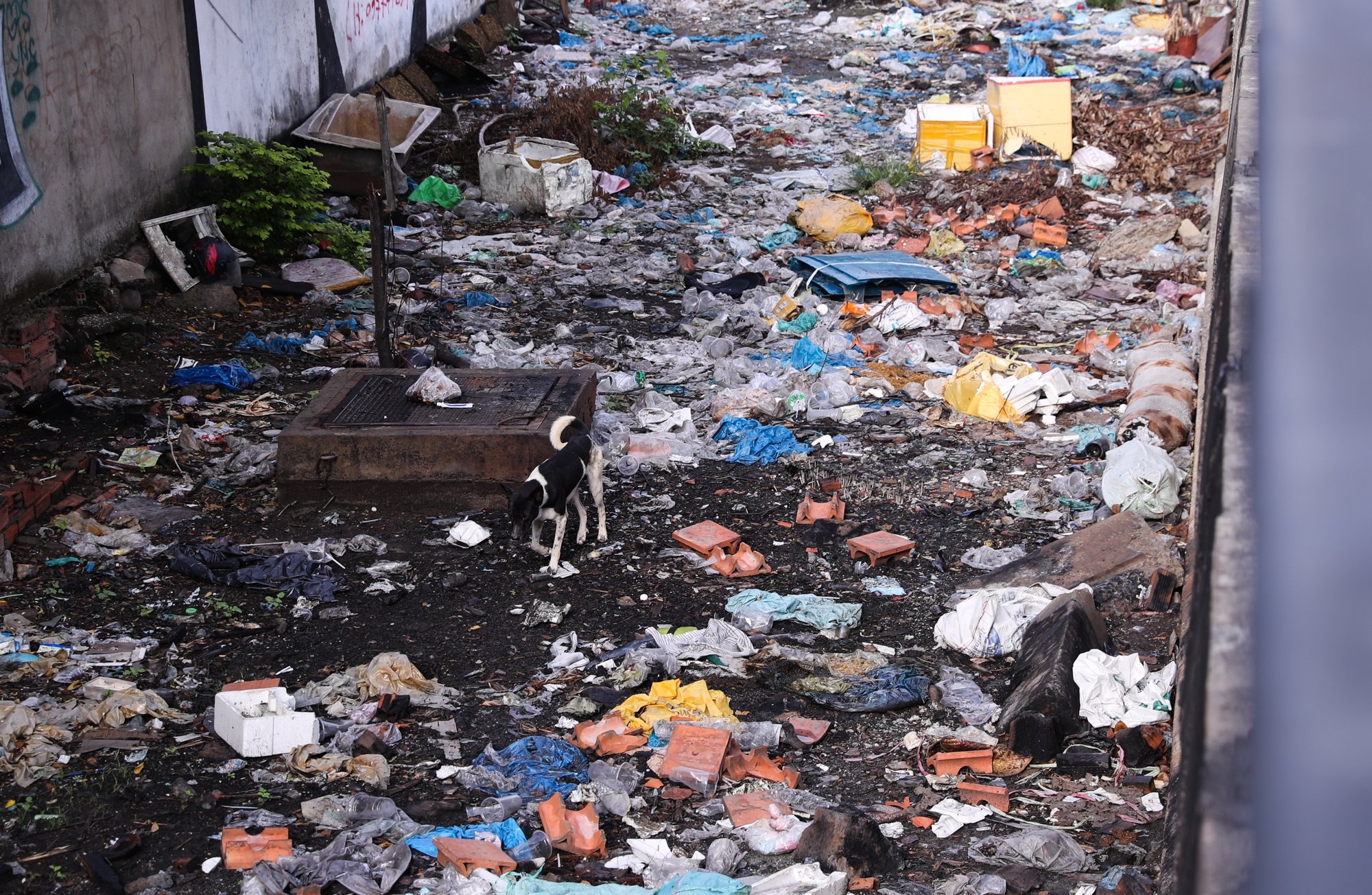 cai tao rach Xuyen Tam anh 6