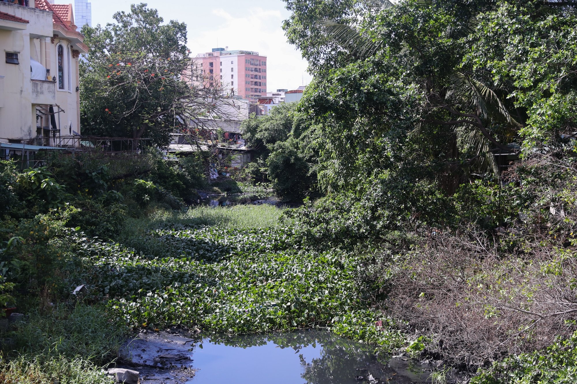 cai tao rach Xuyen Tam anh 11