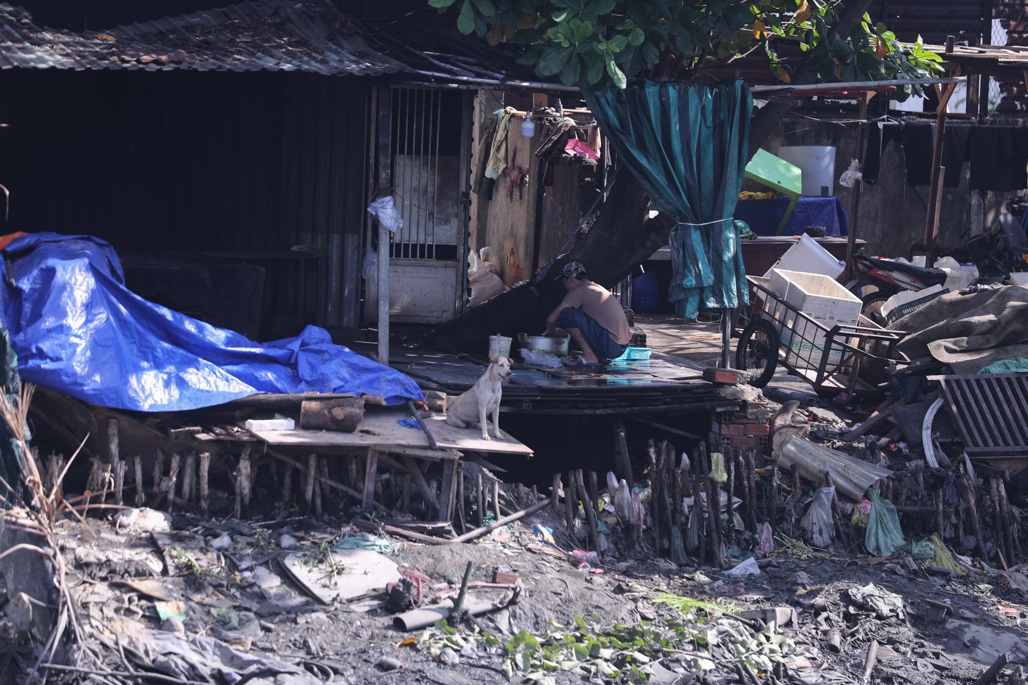 cai tao rach Xuyen Tam anh 8