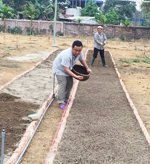 hiệu trưởng từ chức về làm vườn ảnh 3 hieu truong tu chuc ve lam vuon anh 3