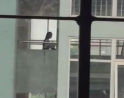 học sinh cấp 3 ôm hôn ảnh 3 hoc sinh cap 3 om hon anh 3