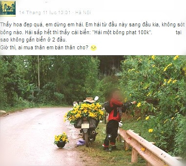 than nhien hai hoa da quy anh 1