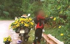 Nam phuot thu khoe anh hai het hoa da quy tren duong hinh anh