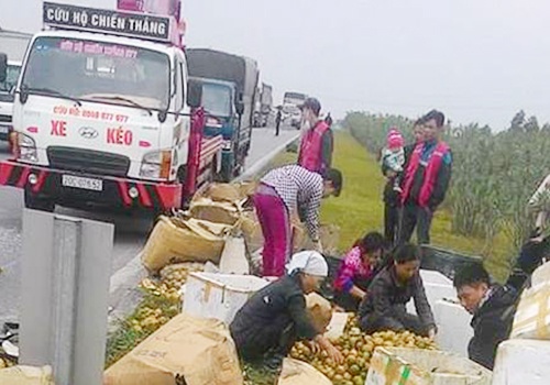 Xe tai bi lat, nguoi dan thu gom hoa qua giup tai xe hinh anh