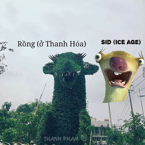 mo hinh rong Thanh Hoa anh 4