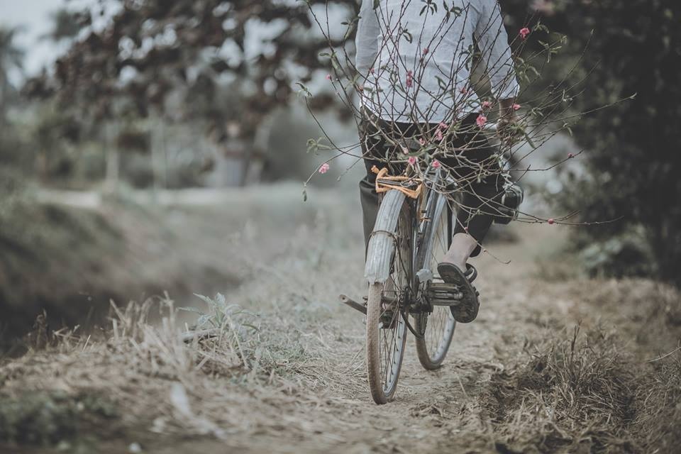 bo anh Tet nay con se ve anh 1