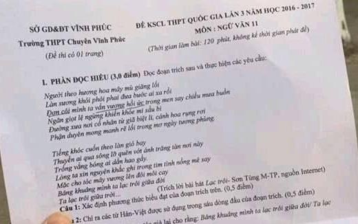 'Lac troi' cua Son Tung M-TP vao de thi Ngu van lop 11 hinh anh