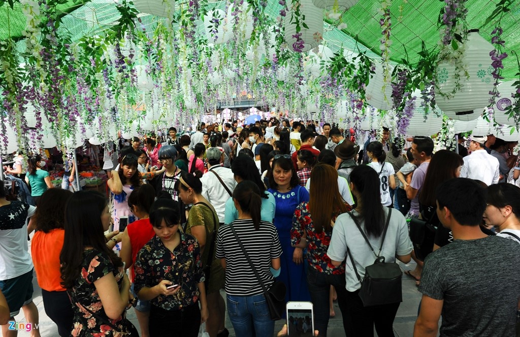 Le hoi hoa hong Bungaria anh 8